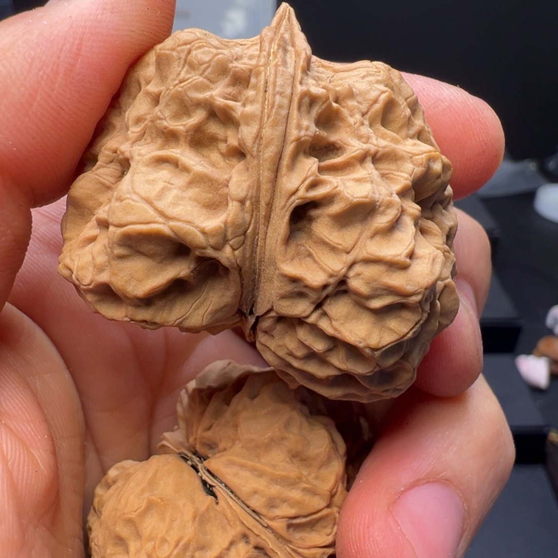 吊坠文玩核桃生命之源41mm