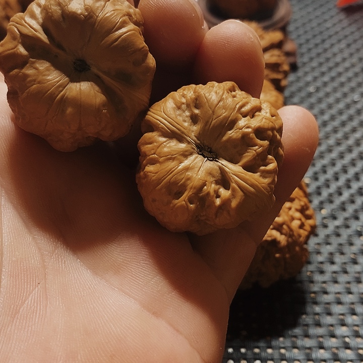 核桃手串/手链「****」文玩核桃古蝉