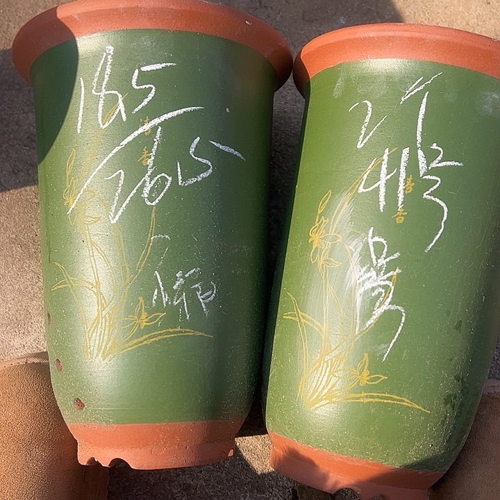 41号号宜兴紫砂花盆特惠