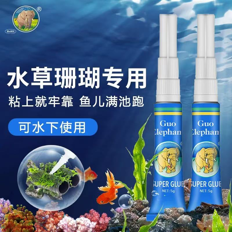 国象水草胶珊瑚胶5g两支