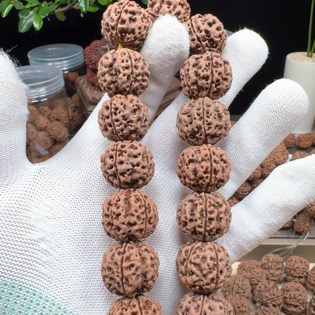 金刚菩提手串20安娜五星蜂窝双龙512号