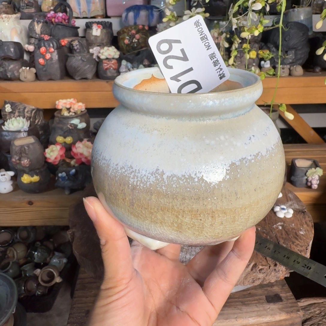 重庆小燕子欢迎大家129