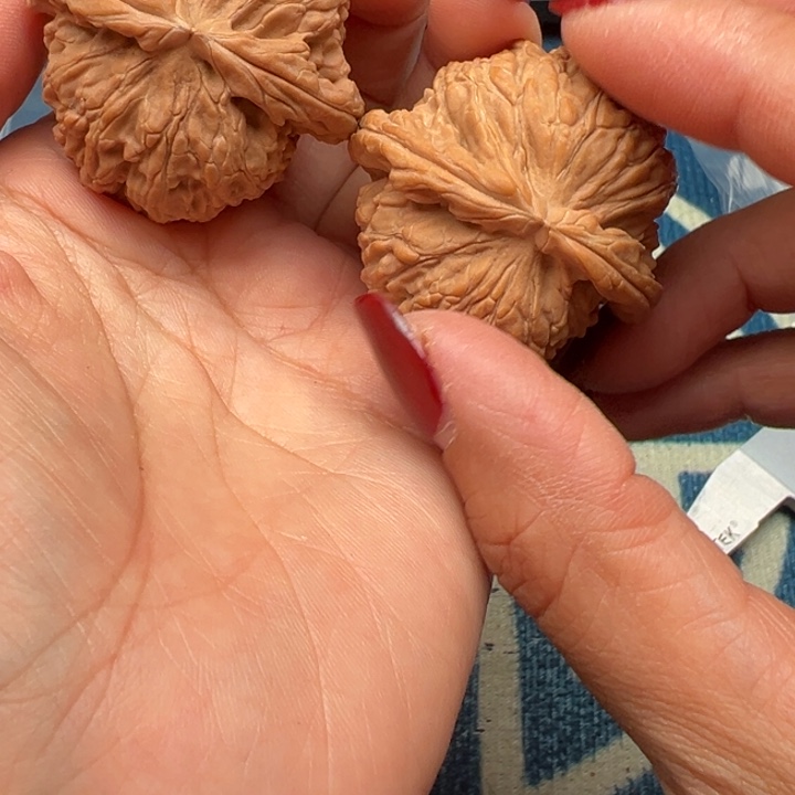 桃核吊坠文玩白狮子42