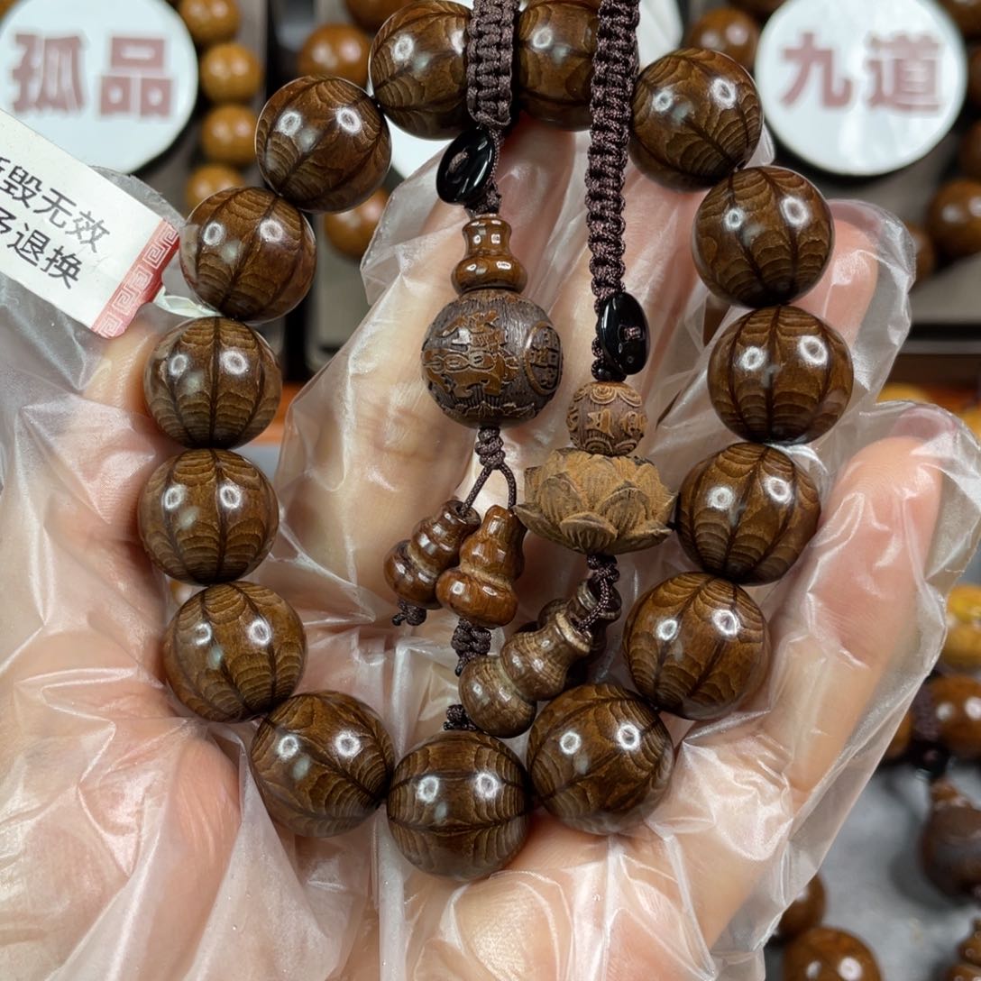 六道木我**逗九道 枯树， 毕业1.5