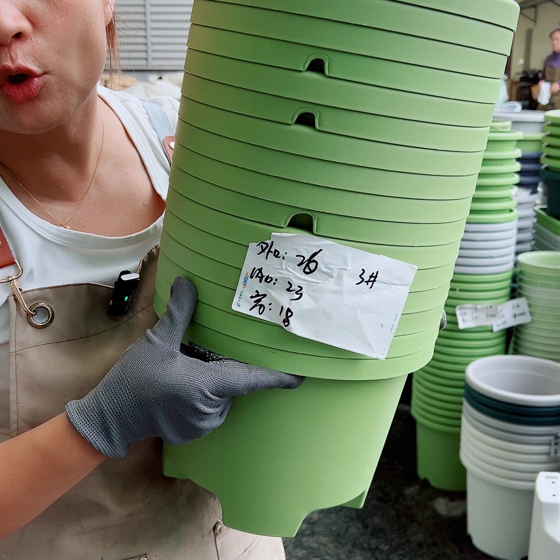 瑕疵球根盆3#果绿色5个无托