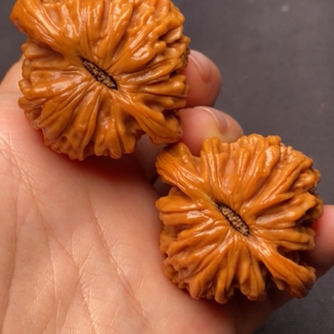 文玩核桃吊坠秦岭核桃秦岭核桃
