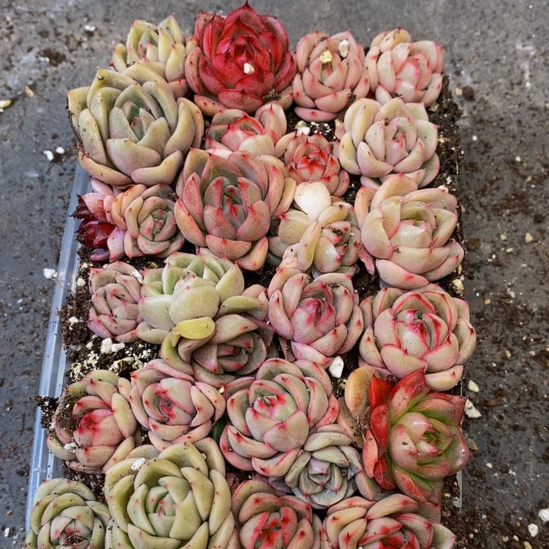 671多人在一起的时候我