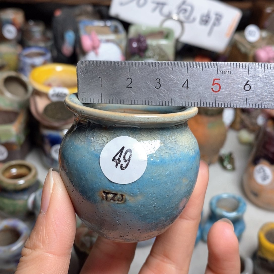 拍5送一个小礼物