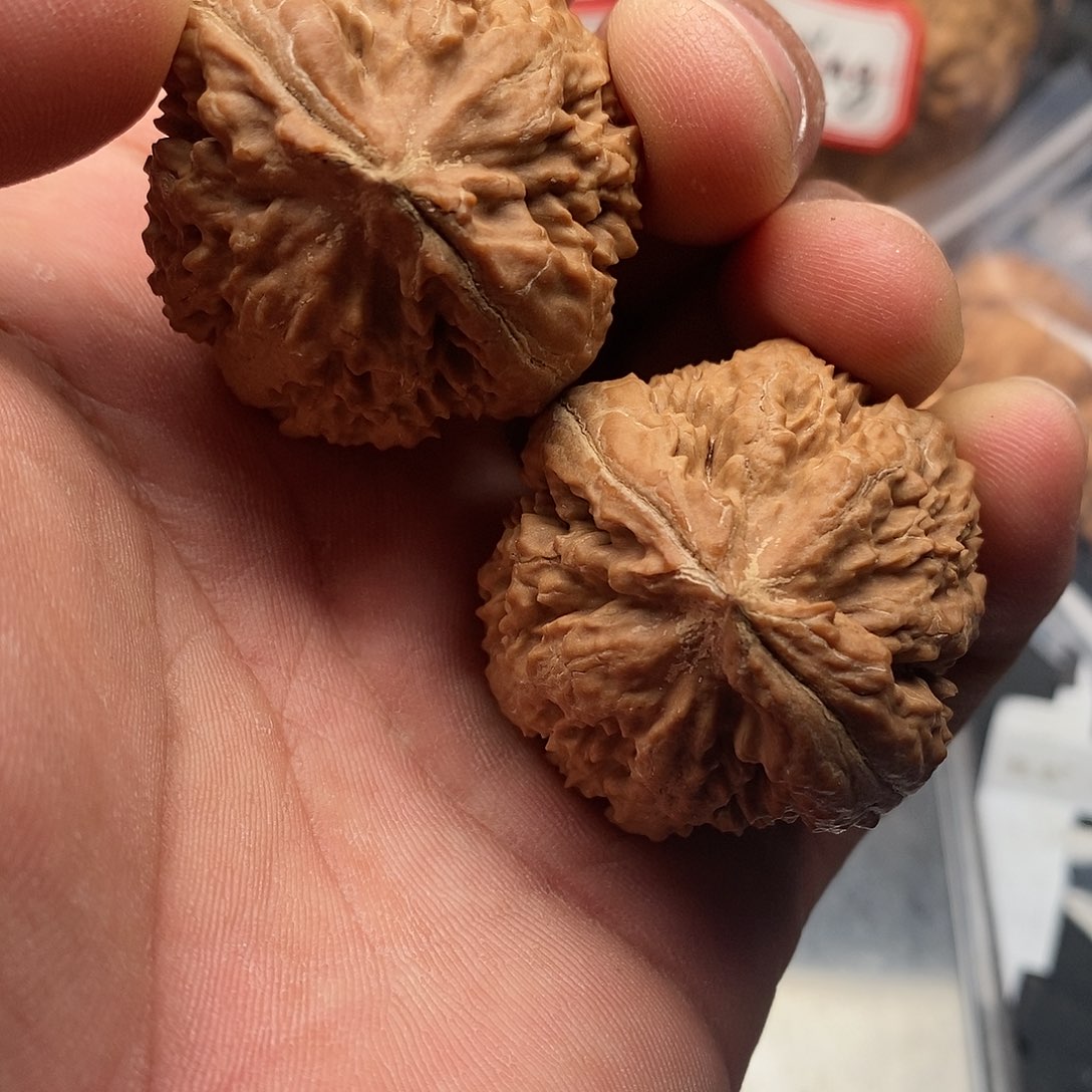 文玩核桃把件江*飞霸王龙