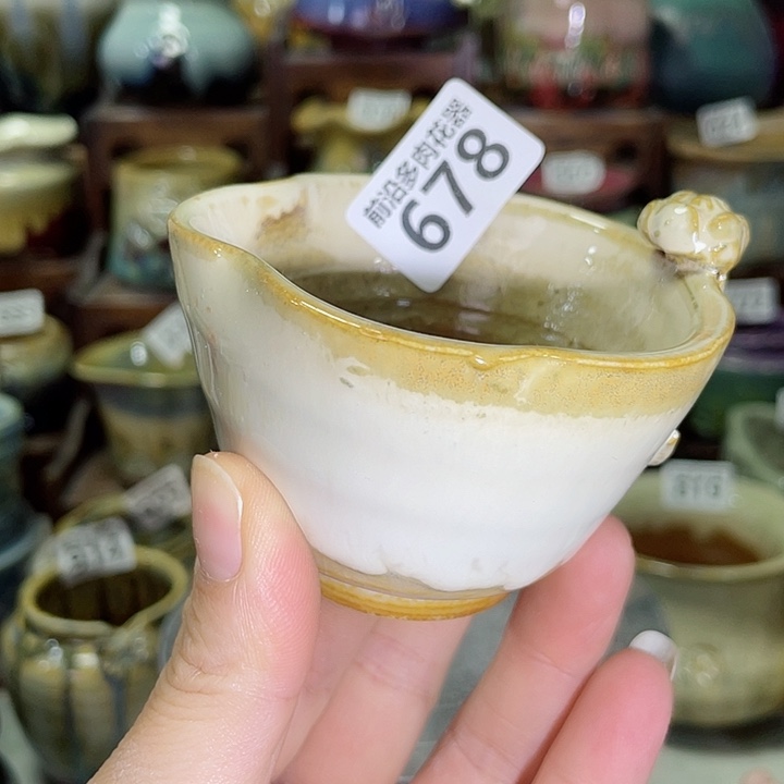 狼盆内口径6高度6