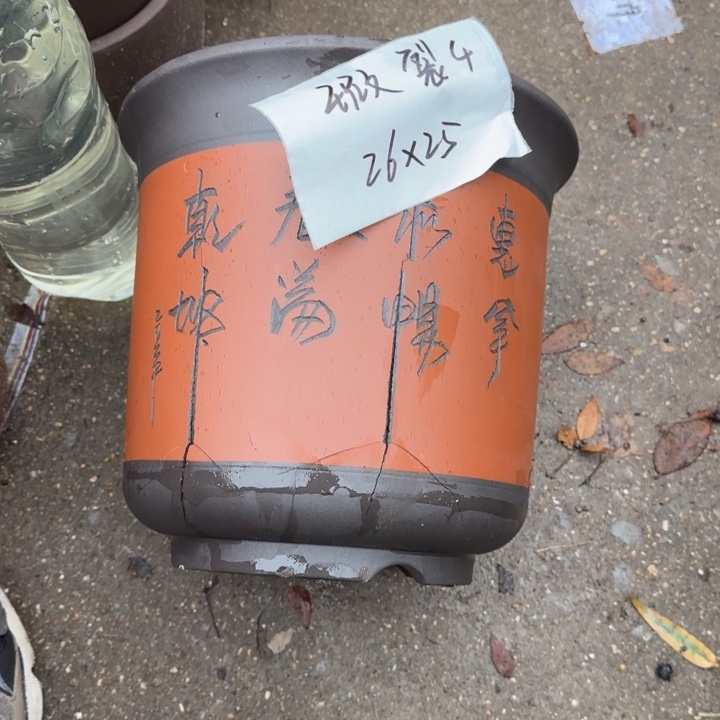 花盆紫砂特价商品