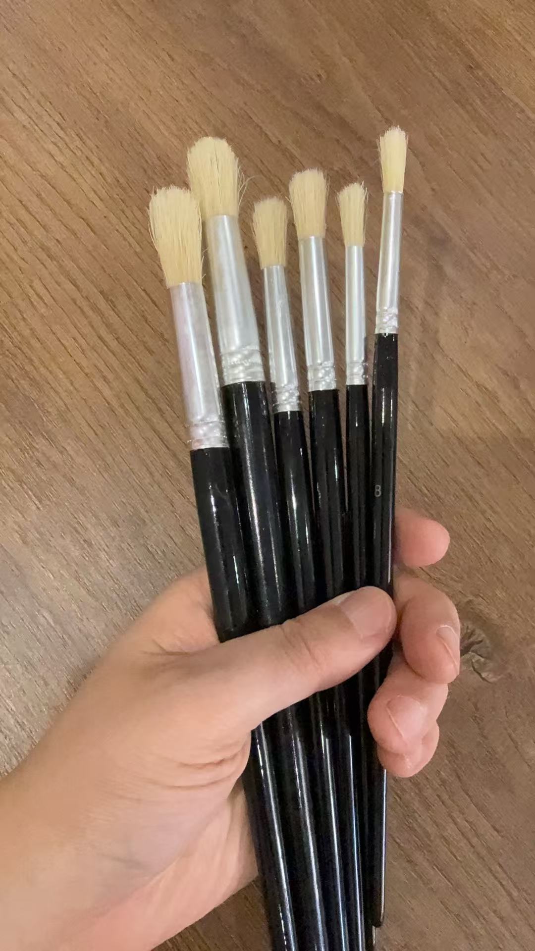 6只装黑杆猪鬃艺术家级油画笔