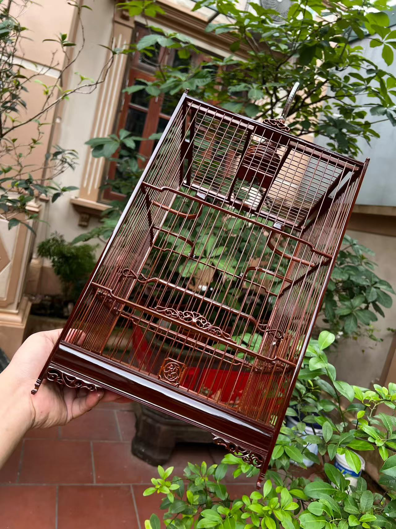 越南紫竹太阳鸟比赛笼25*35 丝距0.8