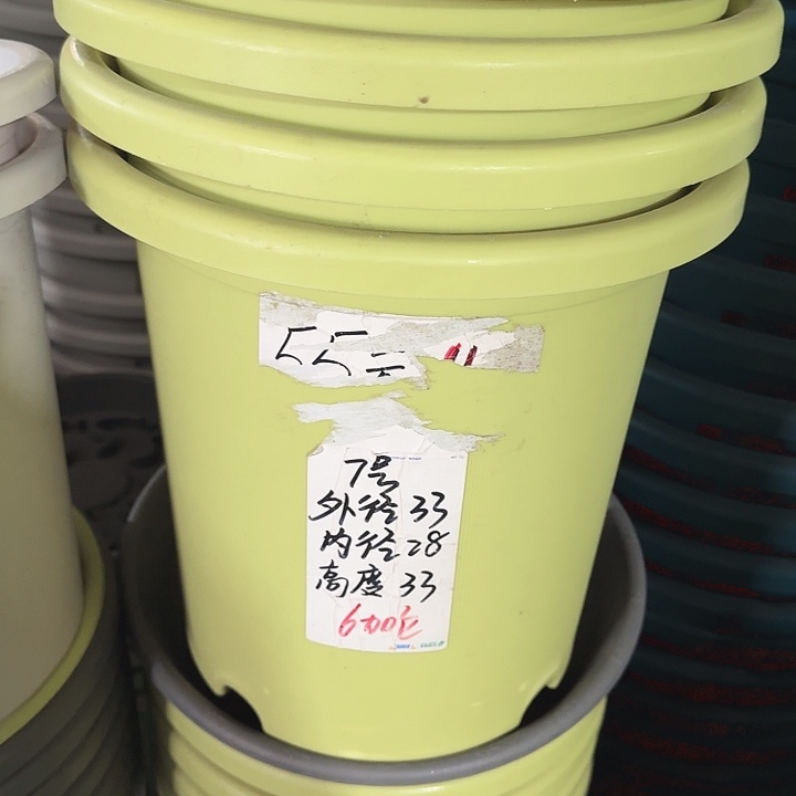微瑕7#浅绿色6个无托口径33