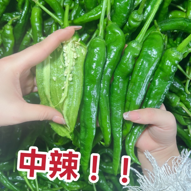 中辣新鲜早尖青辣农家青辣椒中辣露天种植非小米辣椒辣妹子辣椒