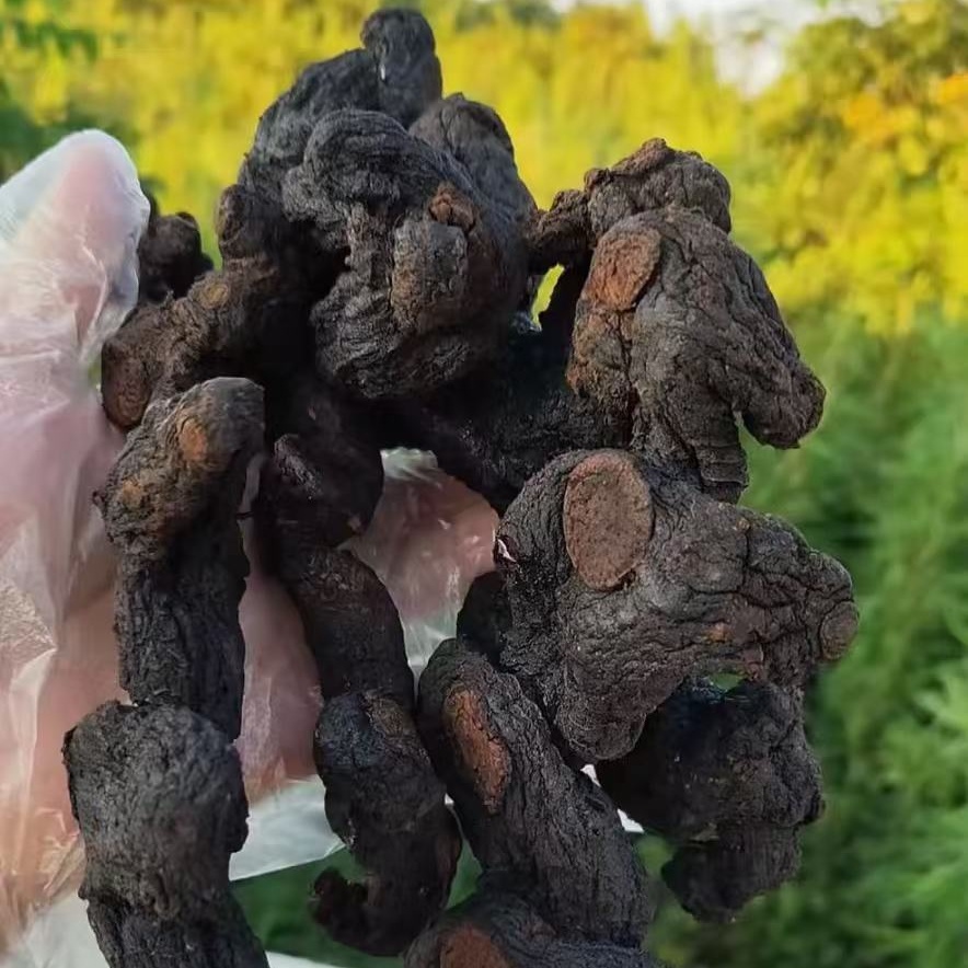 【现收特产】农家传统工艺九晒整根整条发货可直接食用也能泡水煲汤