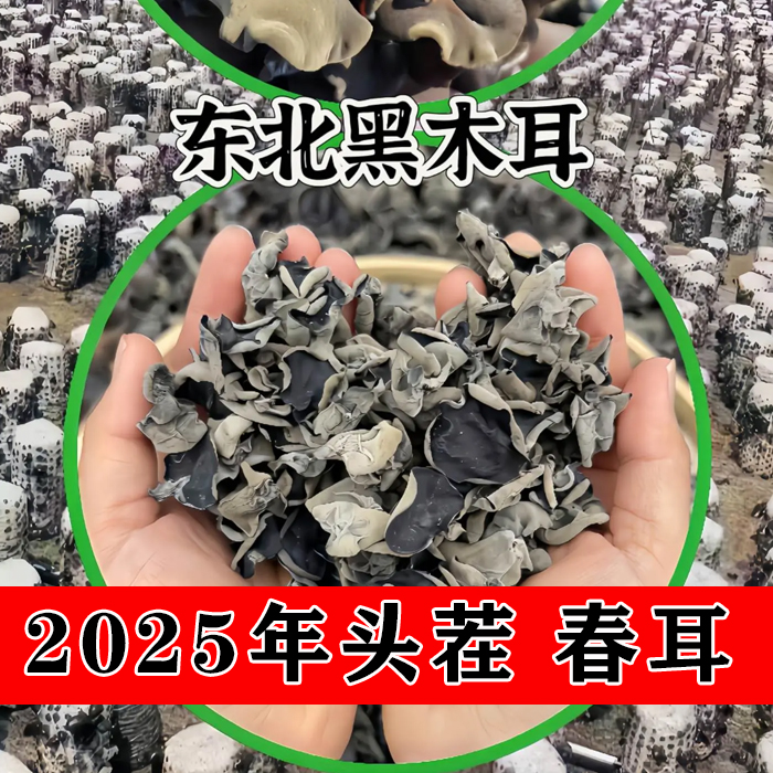 2025年头茬春耳 黑木耳 东北农家晾晒 泡发率高肉厚劲道250g/500g