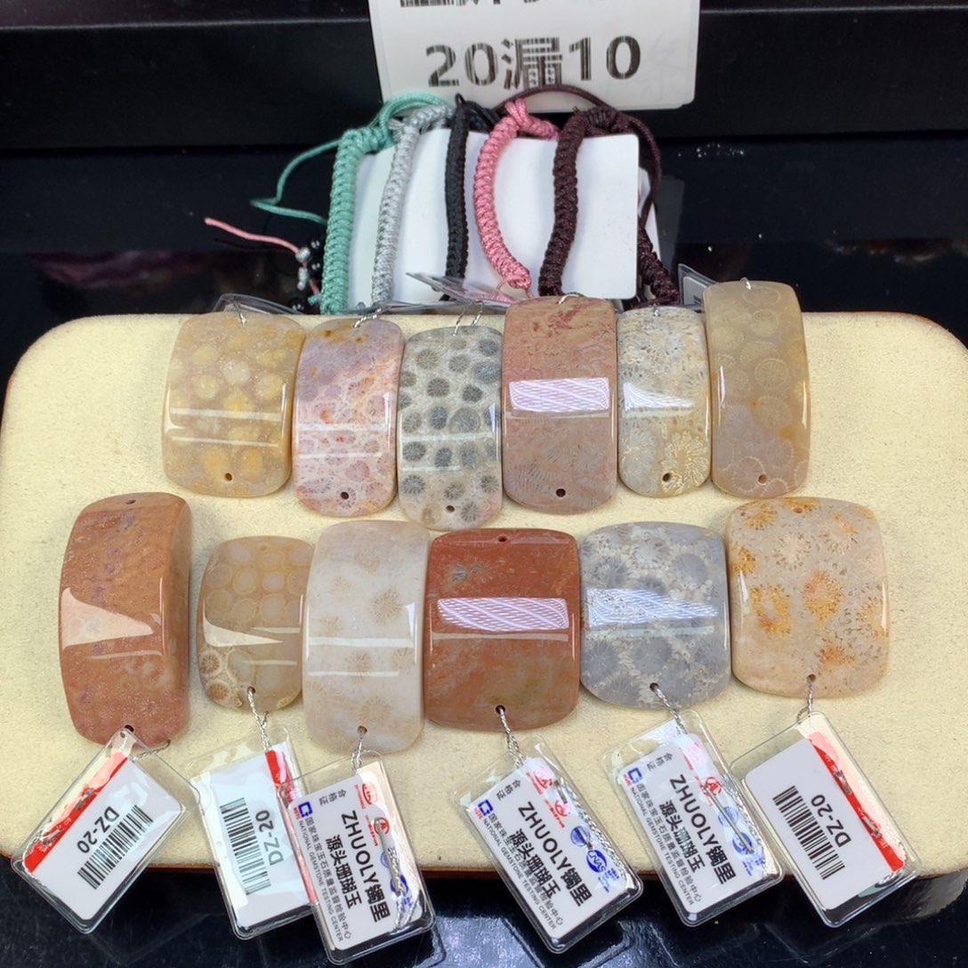 硅化珊瑚（珊瑚玉）未镶嵌吊坠(赠链)20漏10米一个可挑（12号）