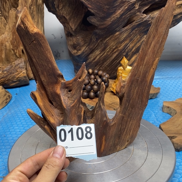 蓝***谊木我在外面吃饭28