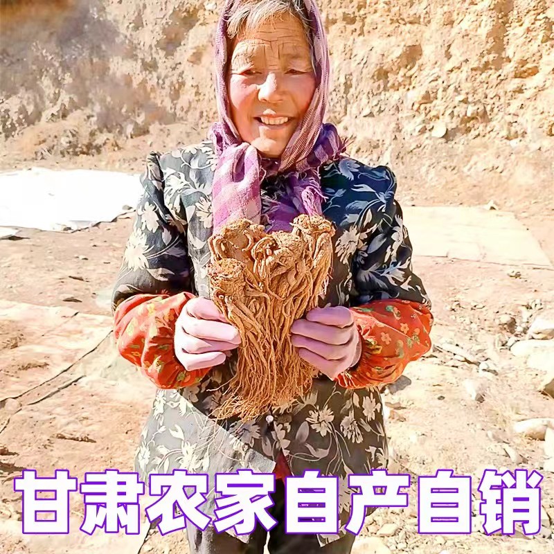 甘肃特产原条当归煲汤泡酒