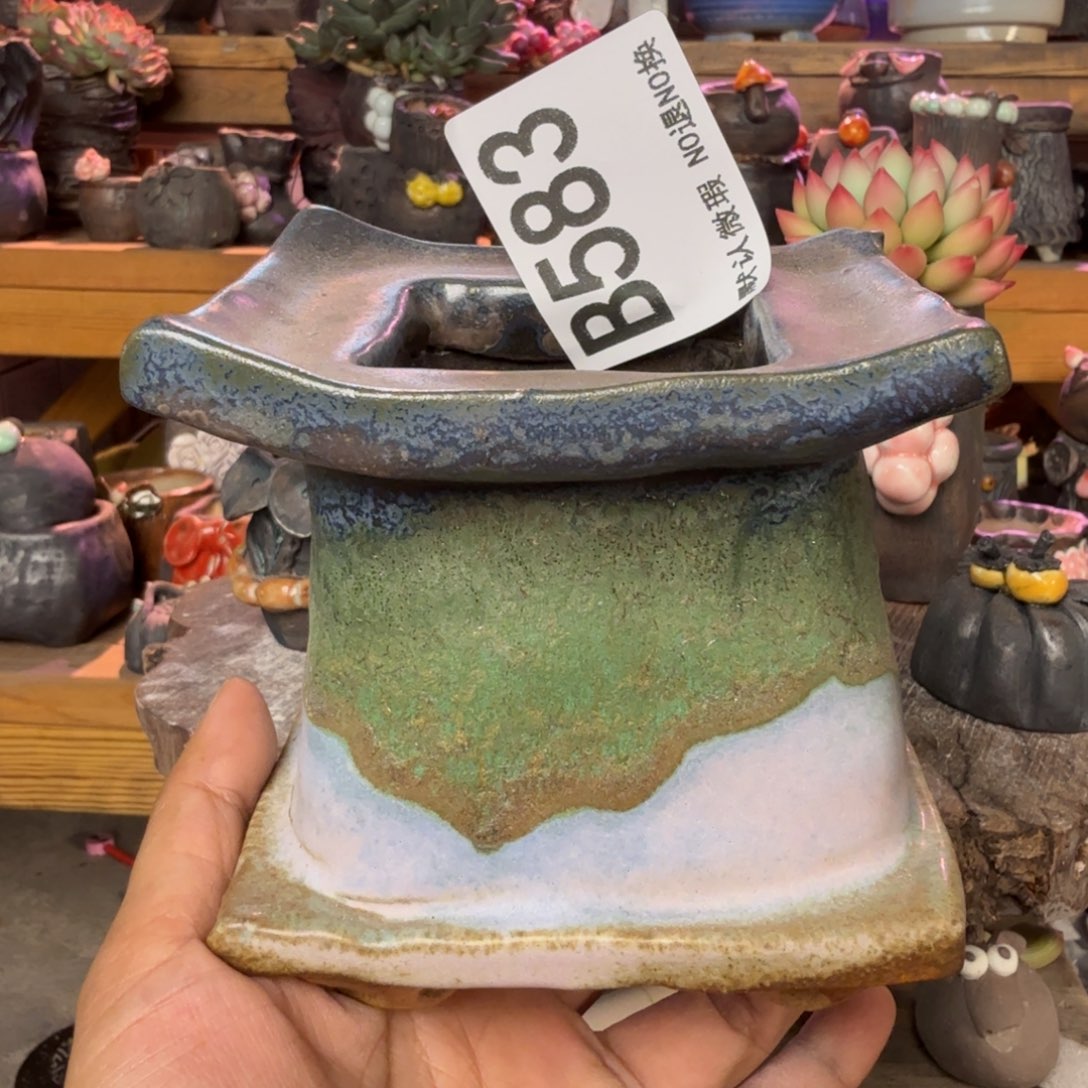 重庆小燕子欢迎大家583