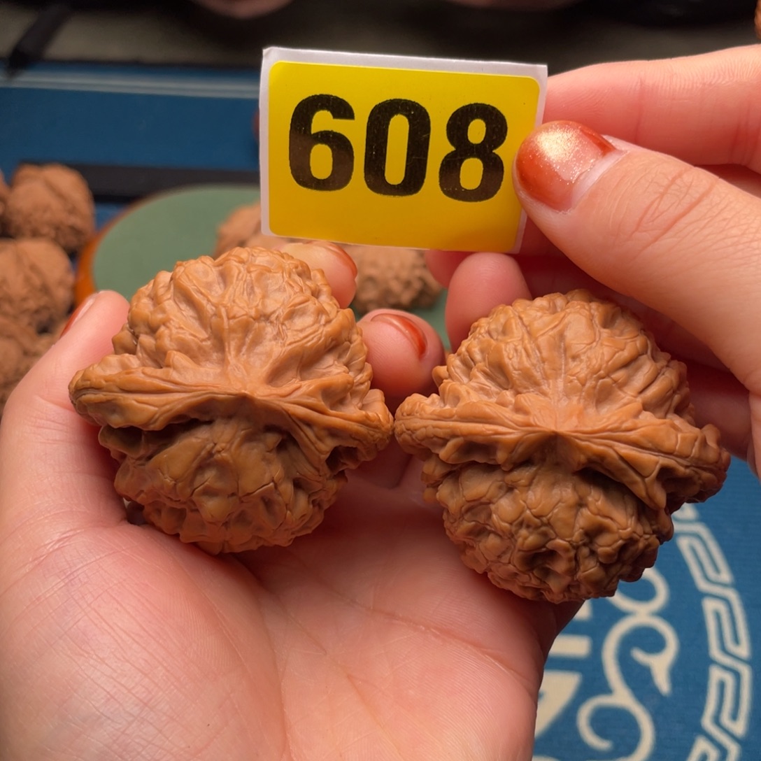 文玩核桃吊坠50全品龙鼎608号