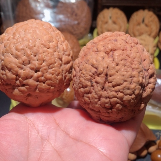 文玩核桃把件脑纹金刚菩提练手