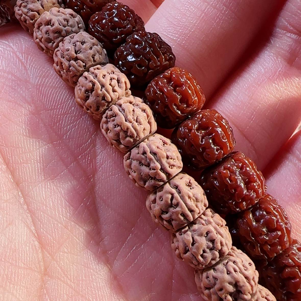 【闪购商品】金刚菩提吊坠保真纯血一代盘龙8福利