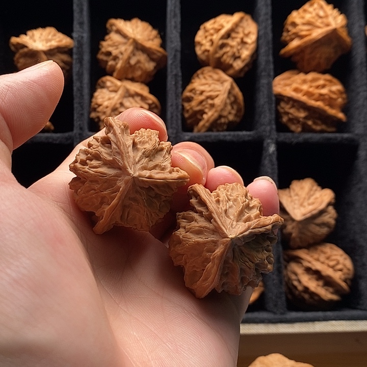 无花朵飞蛇37尺寸有你有