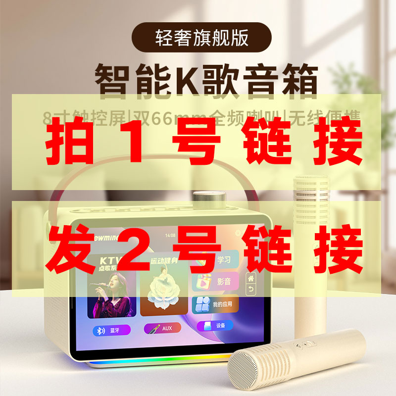 纽曼KK19 【双话筒】户外K歌音响话筒一体机移动KTV便携式蓝牙音箱