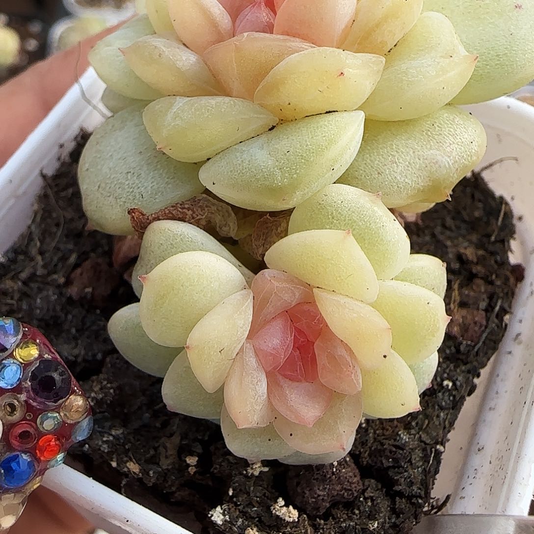 93号哈哈哈哈哈哈