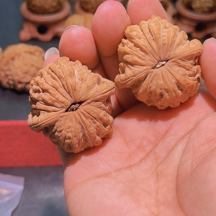 文玩核桃吊坠血麒麟