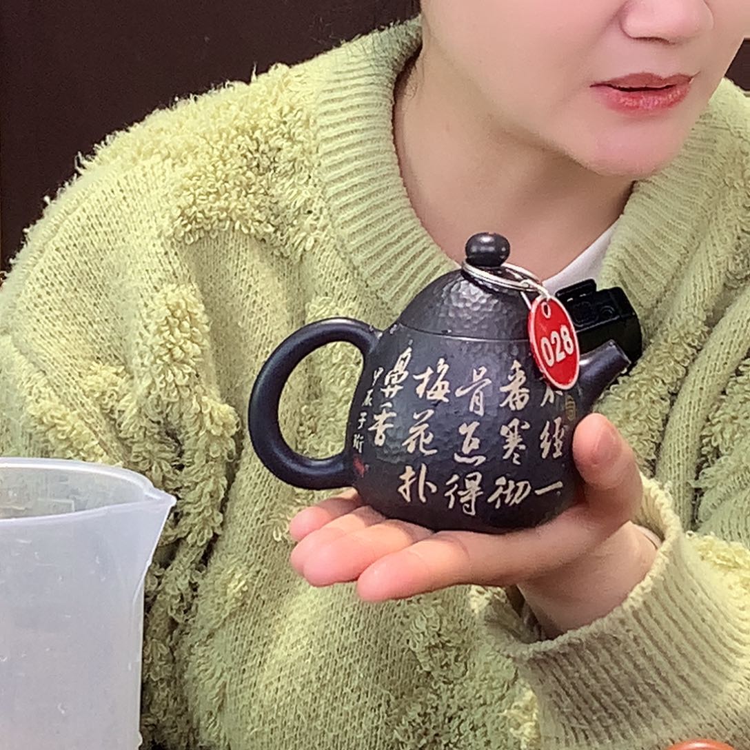 壶建水紫陶彩填锤纹茶壶028