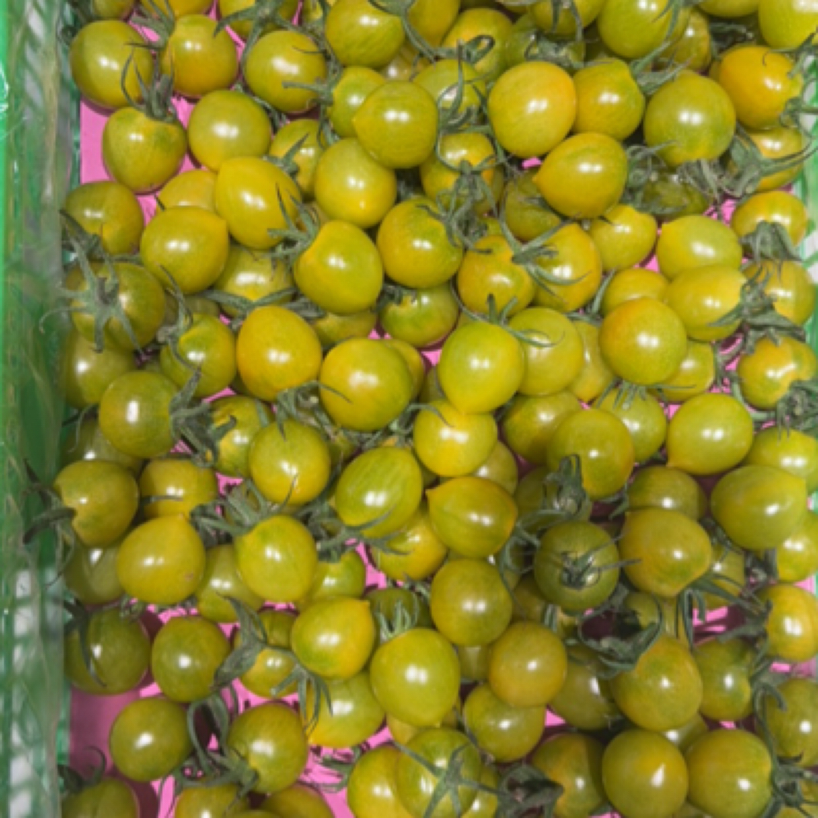 【小时达】绿千禧1份/约500g