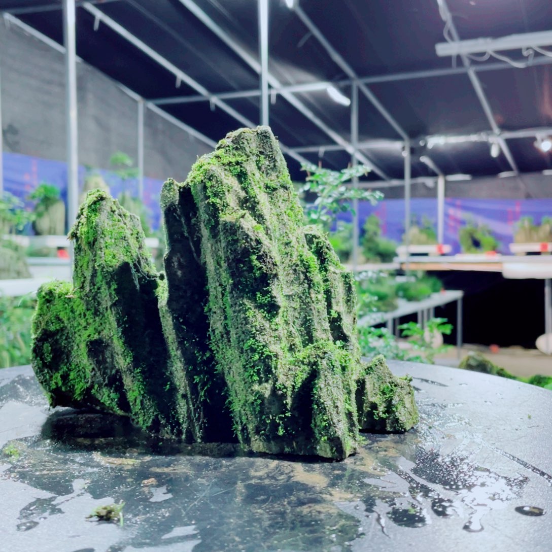 用***9无花朵你说了就可以啊嘛你