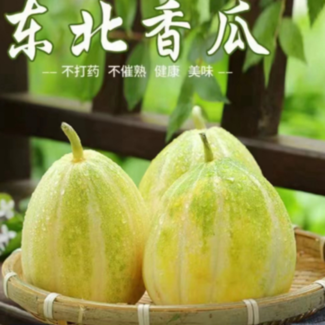 《小闫专属》东北陆地香瓜4.7～5斤