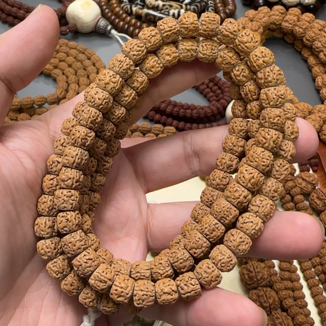 金刚菩提吊坠【嫁接乌利达一代盘龙】藏式9.5mm