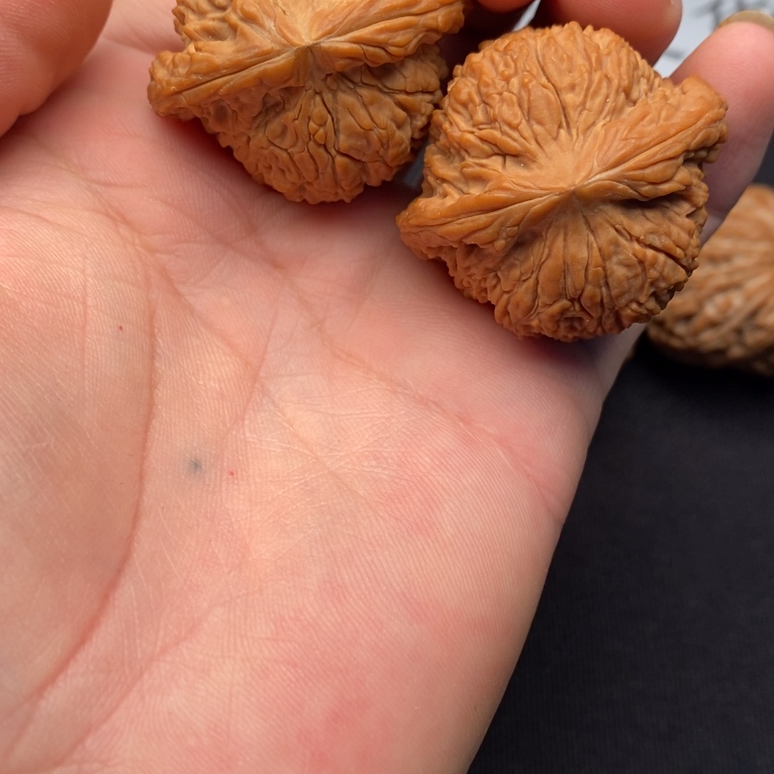 40全品粗棱南疆狮子头