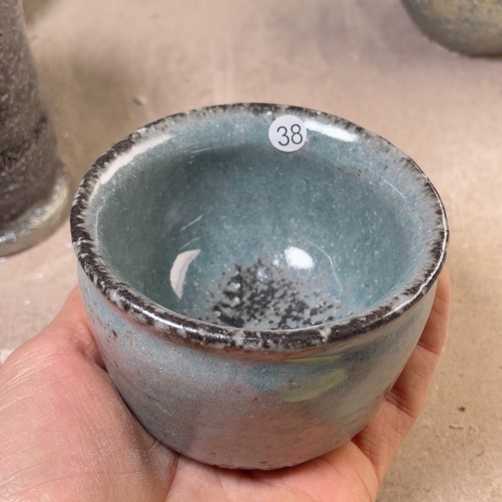 茶宠盏盏灯都在我心里的