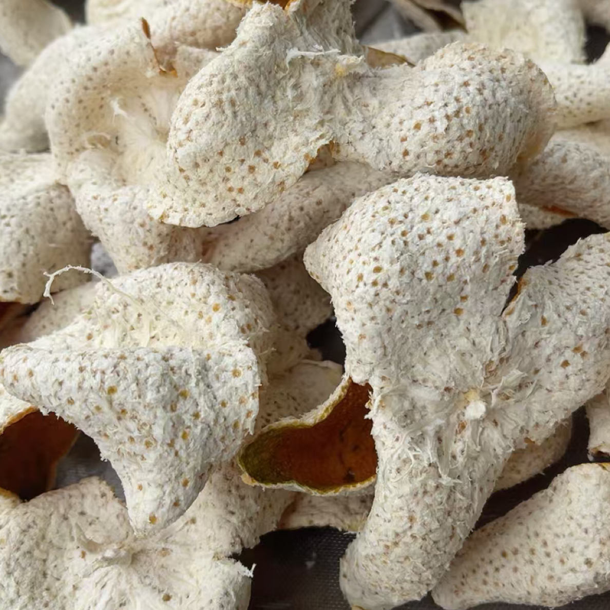 2025年天马大红皮天然生晒