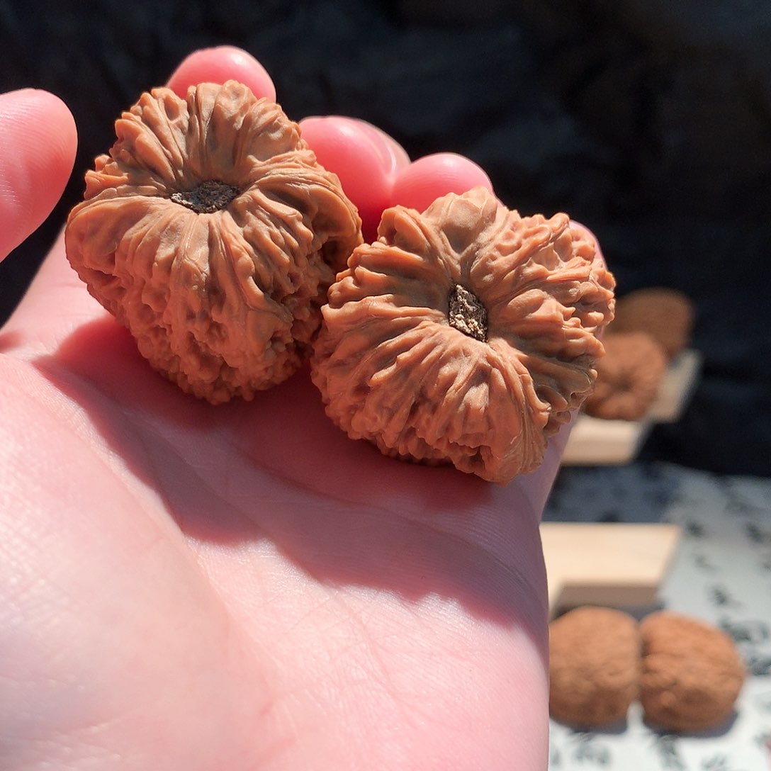 把件文玩核桃T****837南疆