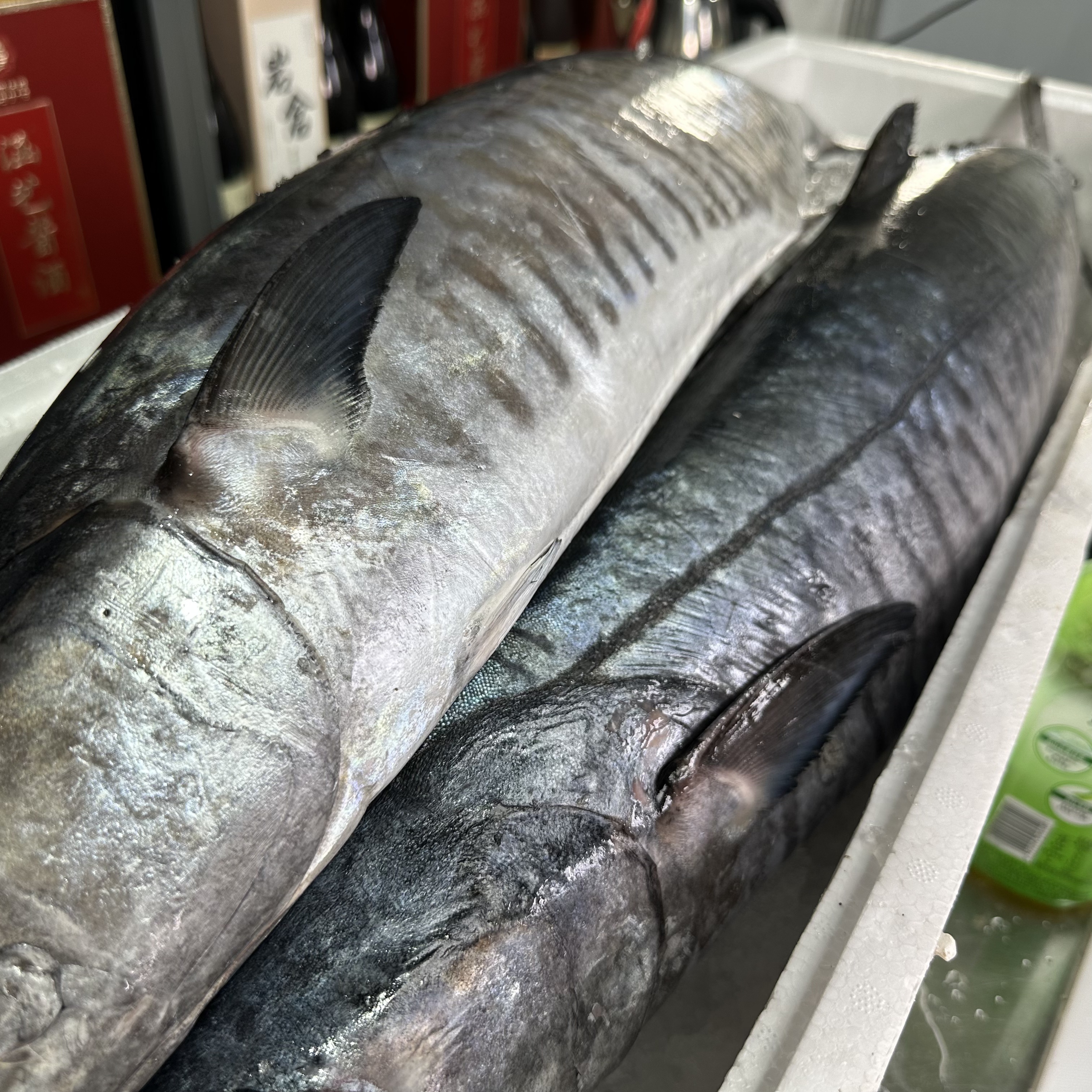 【海南特产康氏马鲛鱼现选】鲜鱼切片（3斤起顺丰包邮）