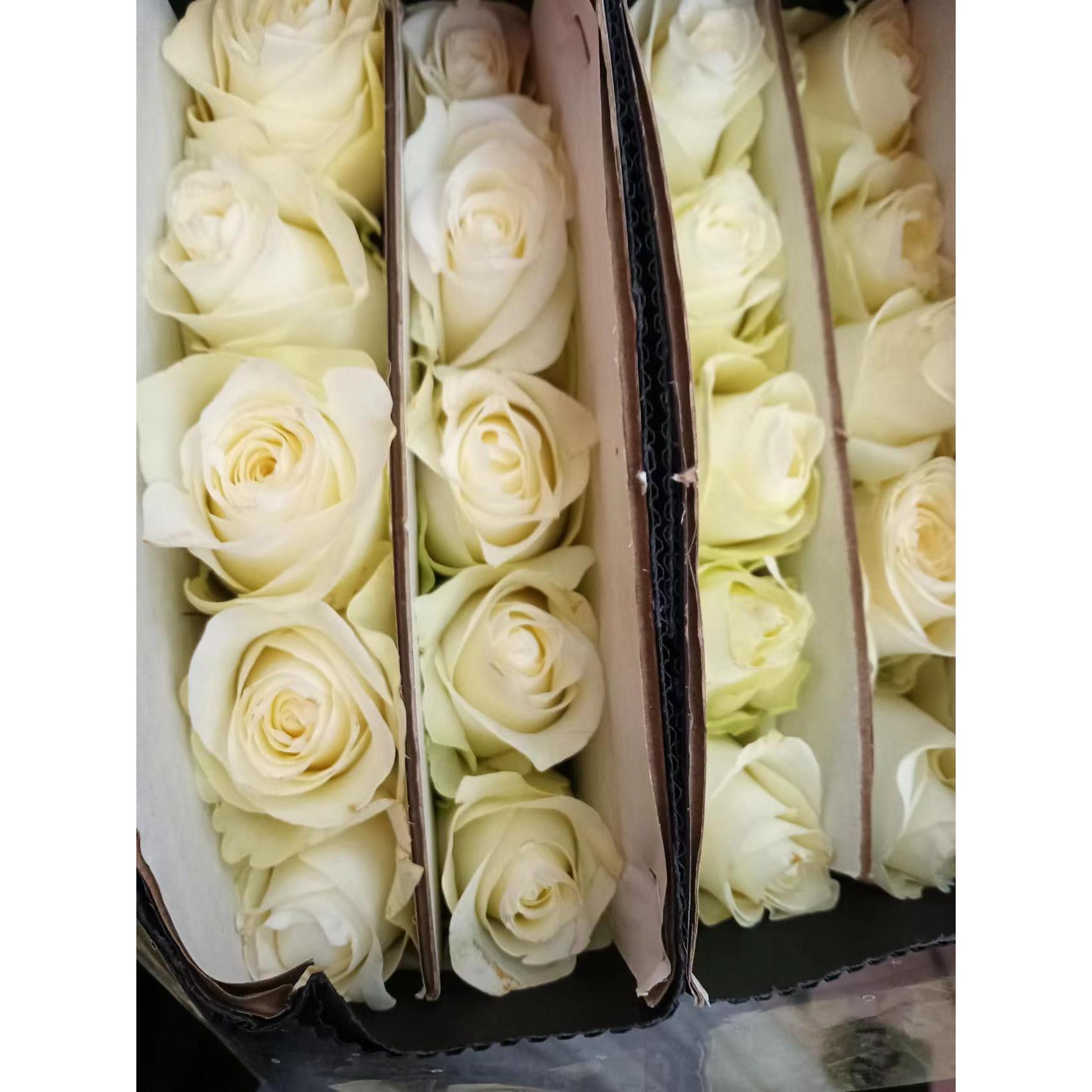 套餐32 白色玫瑰10支+白色满天星2支+白色单瓣紫罗兰一把