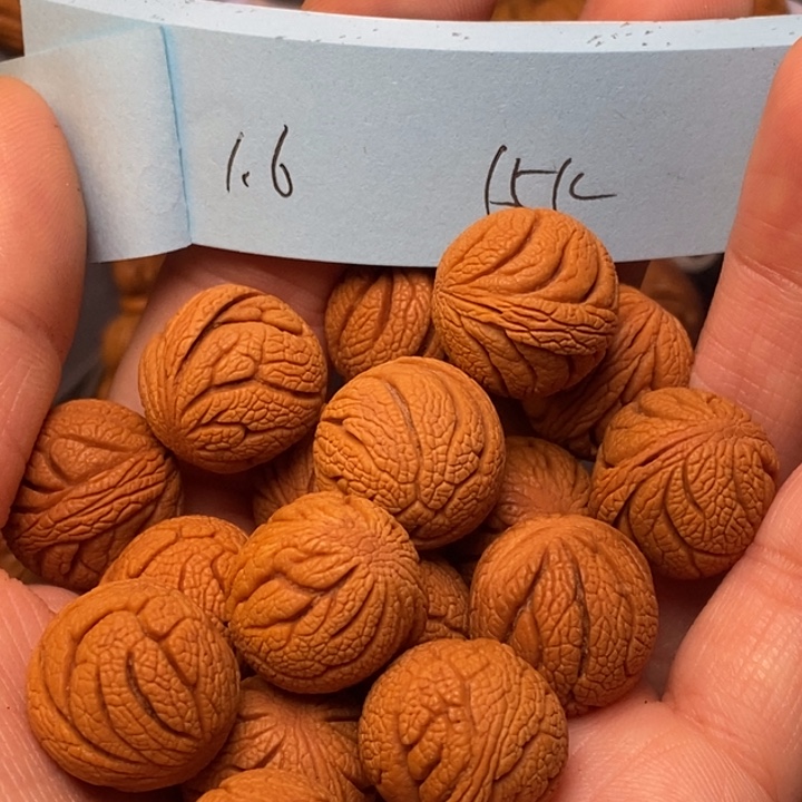 手串文玩核桃秦龙纹桃核16尺寸
