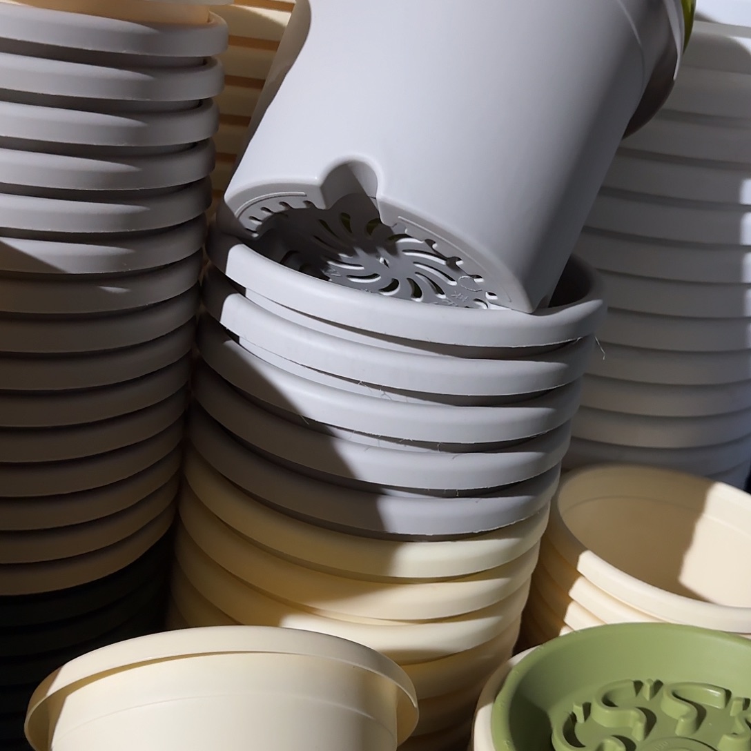 树脂四季3号无托10个灰白微瑕