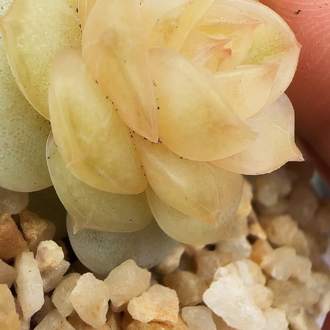 65号哈哈哈哈哈哈