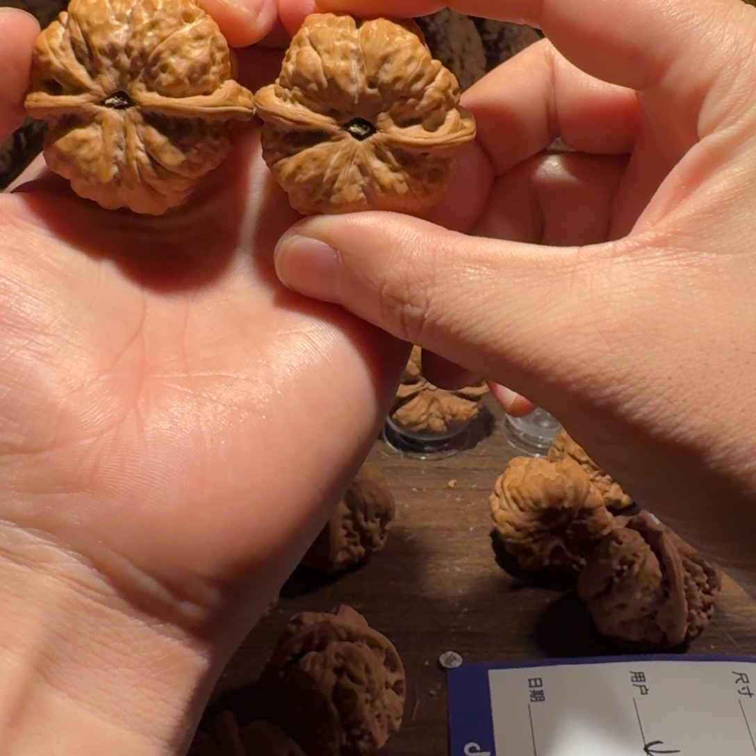 D***s吊坠文玩核桃蛤蟆的眼睛是真的好看啊我