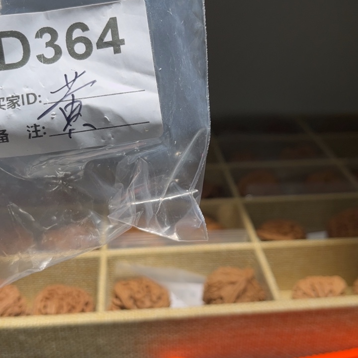 辜***礼吊坠文玩核桃核桃d364