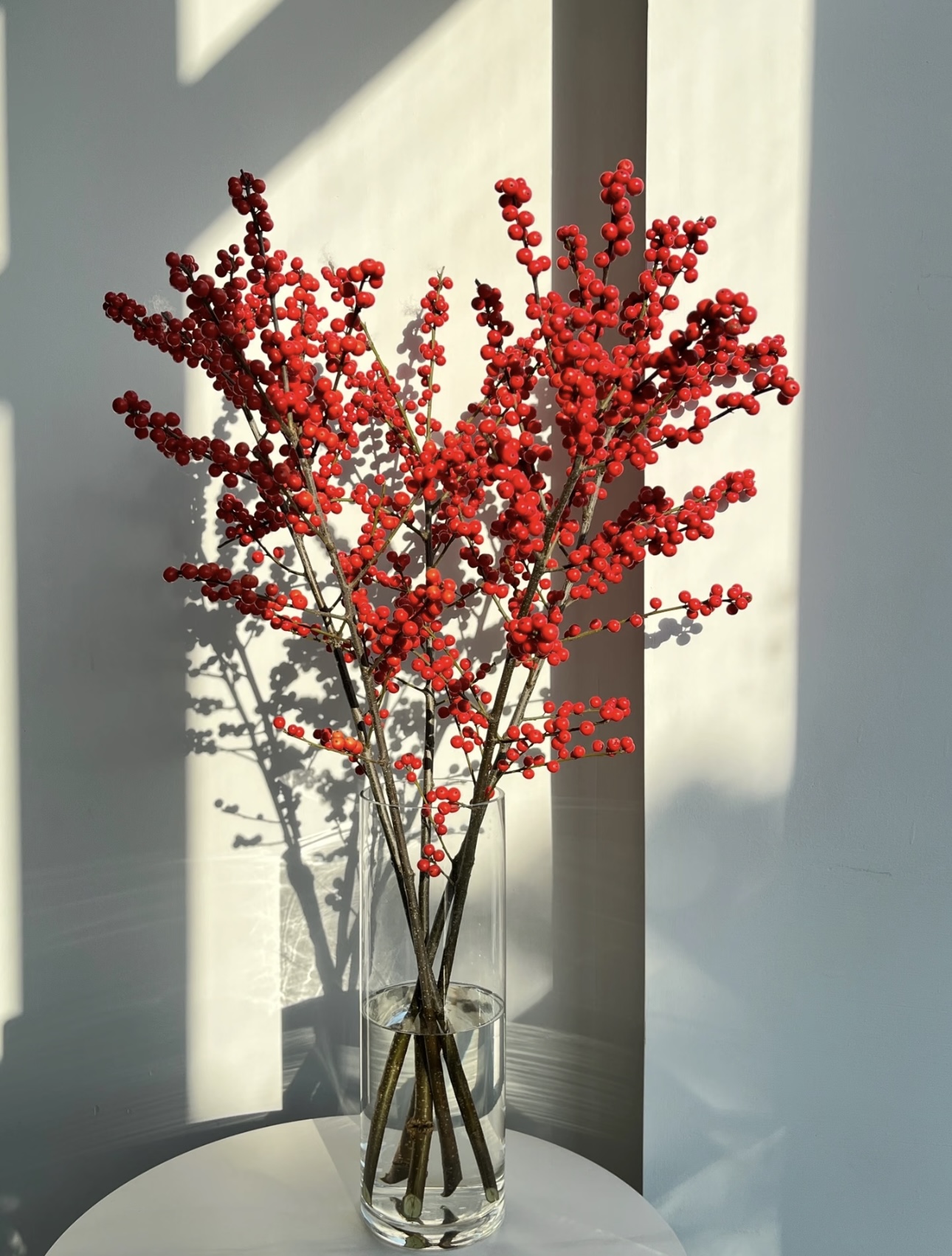 超A级！！【北美冬青红色鲜花鲜切枝80cm*】水培室内年宵花卉真花