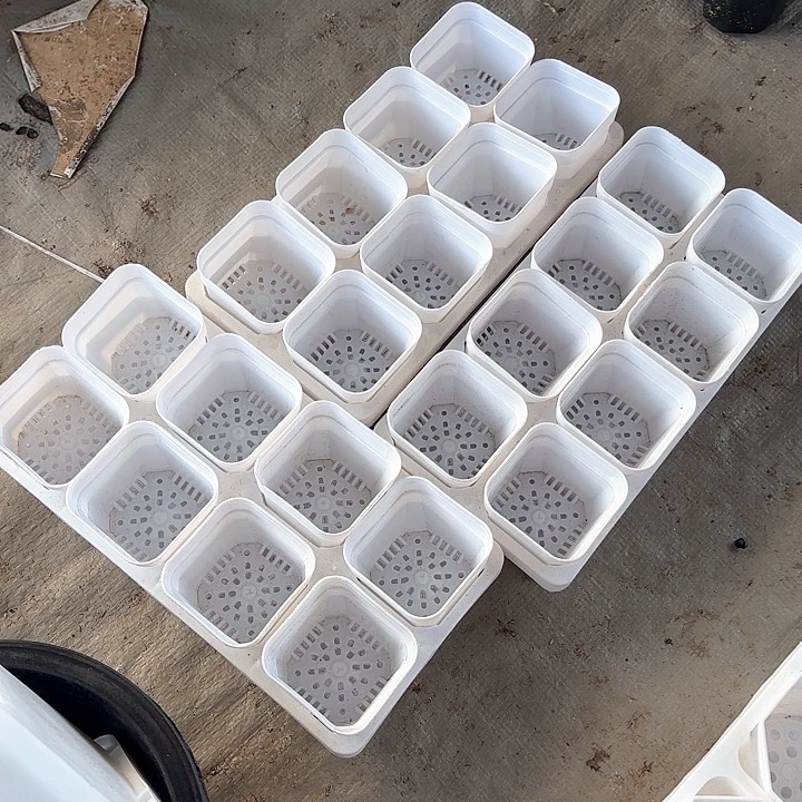 5厘米白方盆24个，托架3个